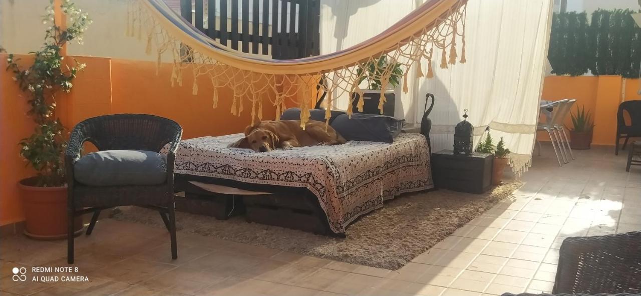 La Casita De Celia Apartment อาลิกันเต ภายนอก รูปภาพ