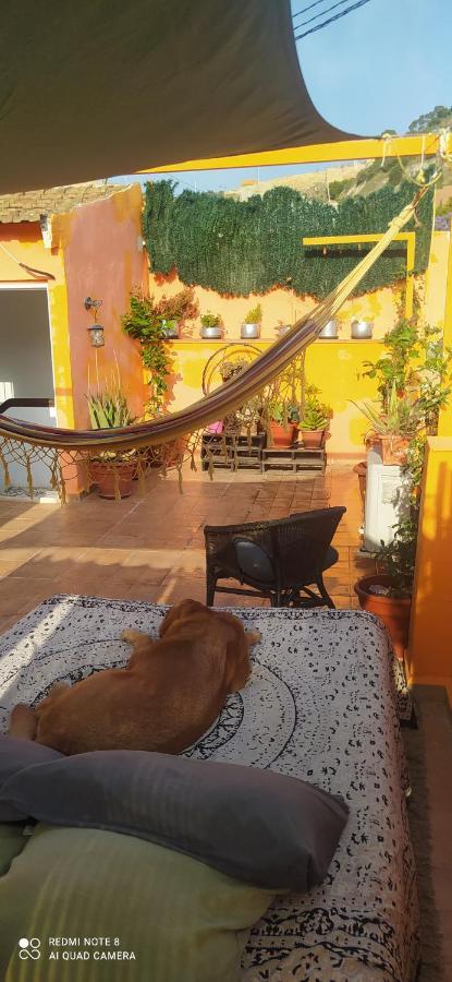 La Casita De Celia Apartment อาลิกันเต ภายนอก รูปภาพ